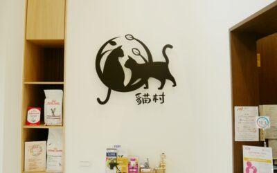雲助理成功案例｜貓村貓專科醫院：如何輕鬆實現數位轉型？